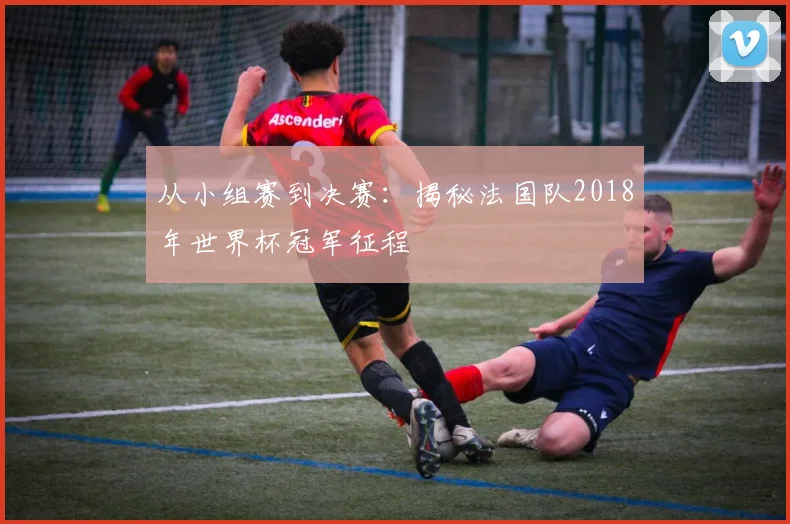 从小组赛到决赛:揭秘法国队2018年世界杯冠军征程