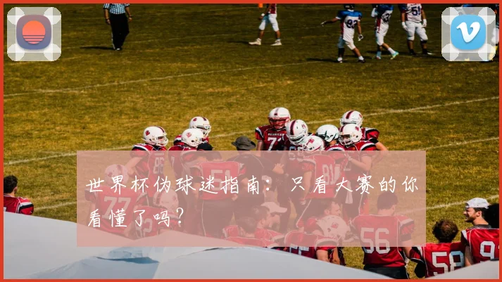 世界杯伪球迷指南：只看大赛的你看懂了吗？