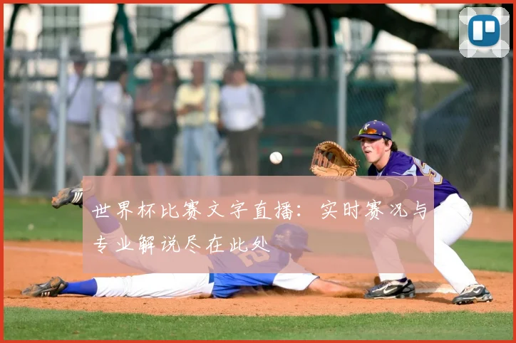 世界杯比赛文字直播：实时赛况与专业解说尽在此处
