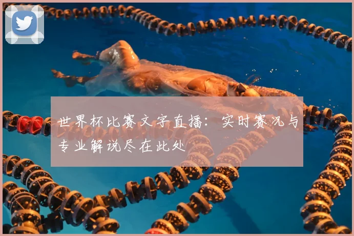 世界杯比赛文字直播：实时赛况与专业解说尽在此处