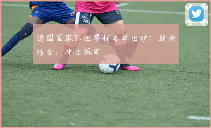 德国国家队世界杯名单出炉：新老结合，冲击冠军